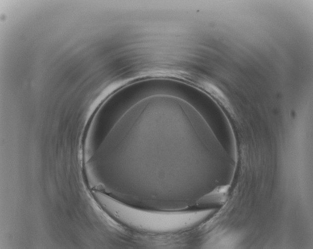 X0000061761428200512091650