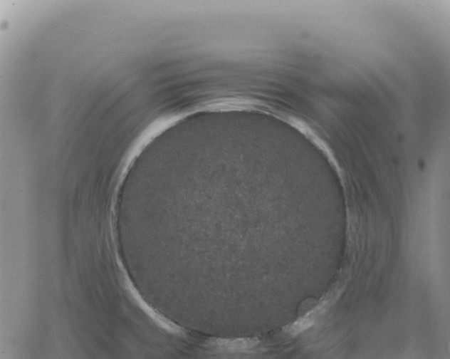 X0000061761429200512091650