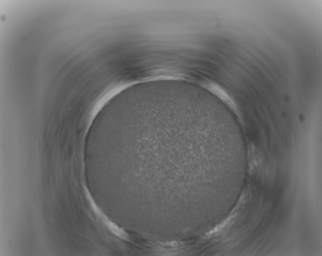 X0000061761431200512091650