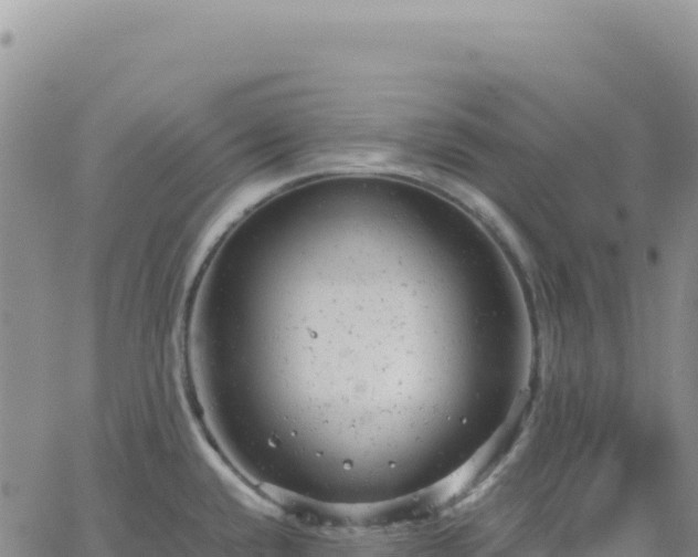 X0000061761432200512091650