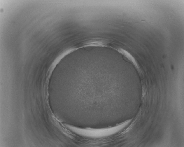 X0000061761435200512091650