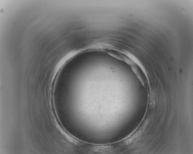 X0000061761437200512091650