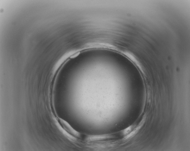 X0000061761438200512091650