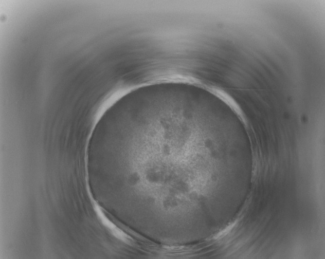 X0000061761439200512091650