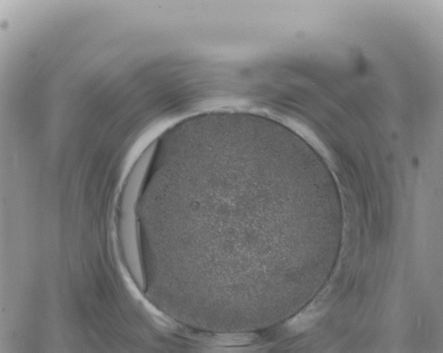 X0000061761440200512091650