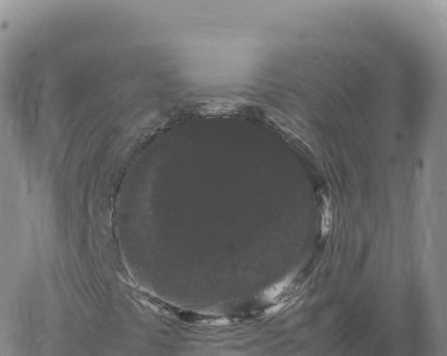 X0000061761441200512091649