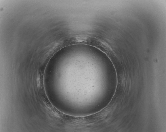 X0000061761442200512091649