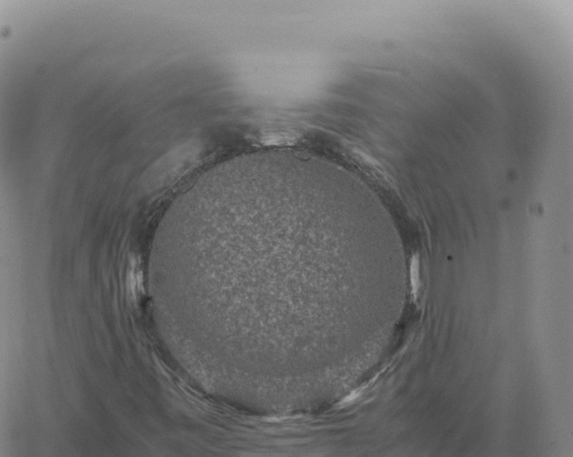 X0000061761443200512091649