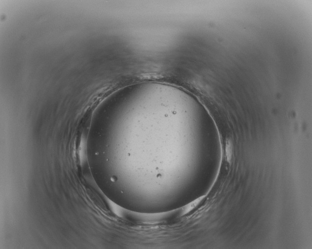 X0000061761444200512091649