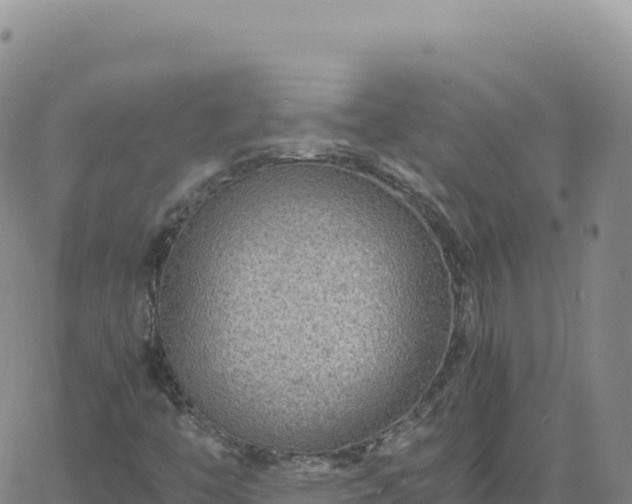 X0000061761446200512091649