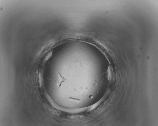 X0000061761447200512091649