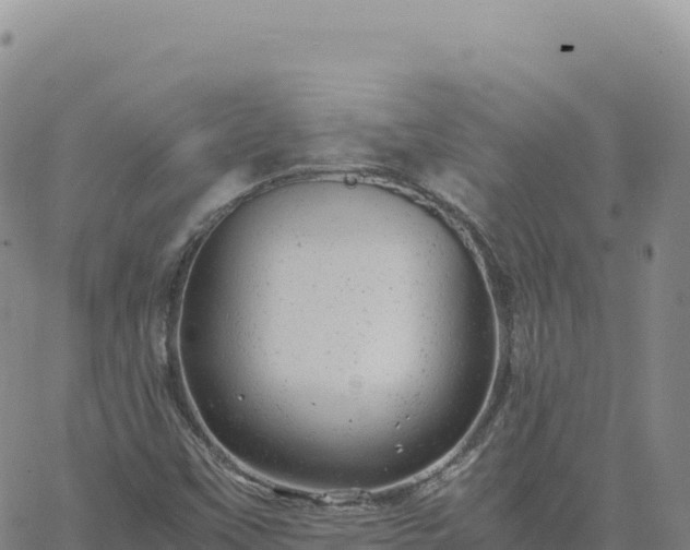 X0000061761451200512091649