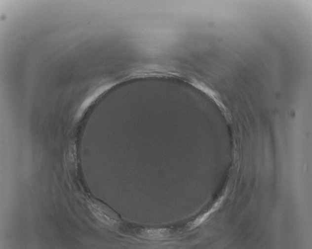 X0000061761453200512091649