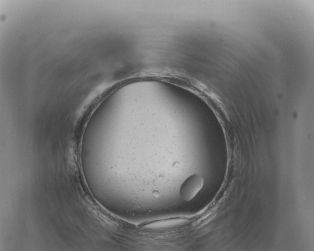 X0000061761454200512091649