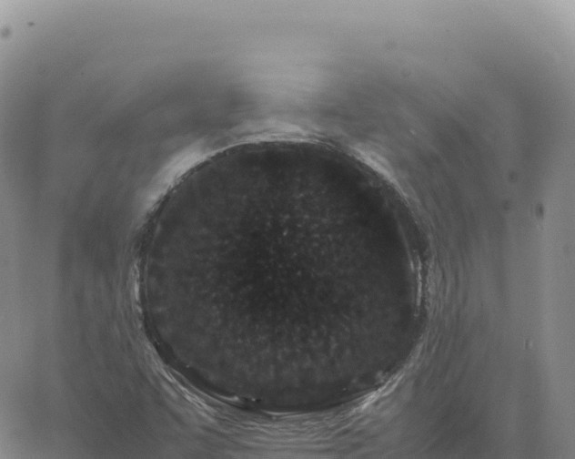 X0000061761455200512091649