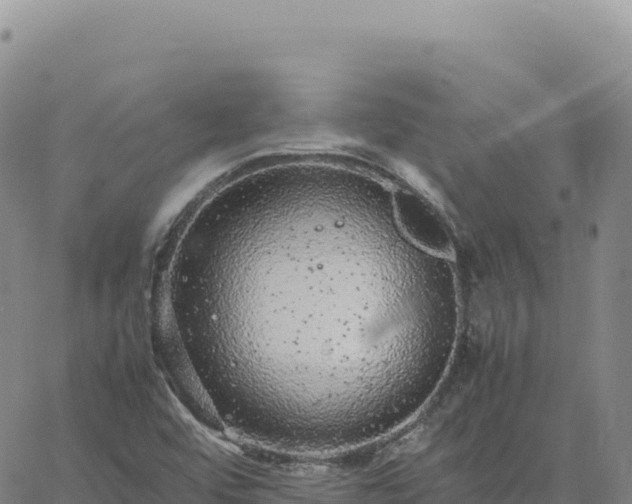 X0000061761456200512091649