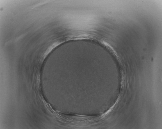 X0000061761457200512091649