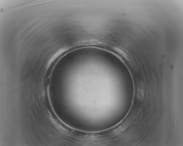 X0000061761458200512091649