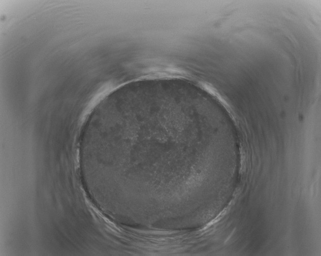 X0000061761459200512091649