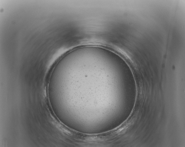 X0000061761462200512091649