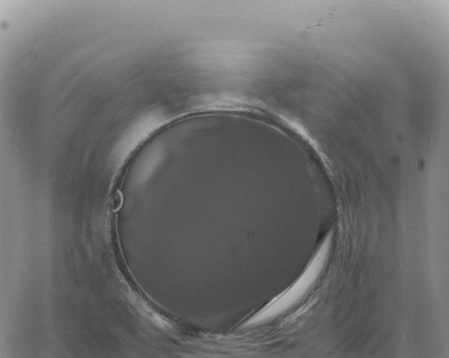 X0000061761463200512091649