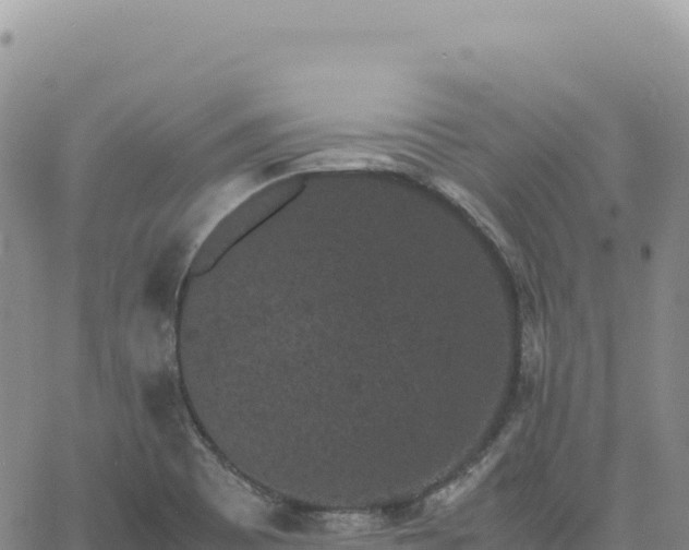 X0000061761465200512091649