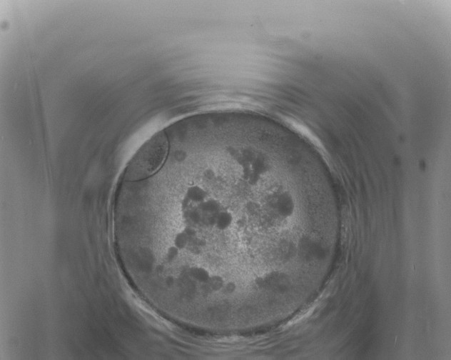 X0000061761467200512091649