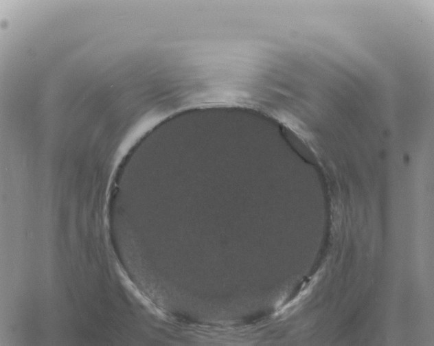 X0000061761469200512091649