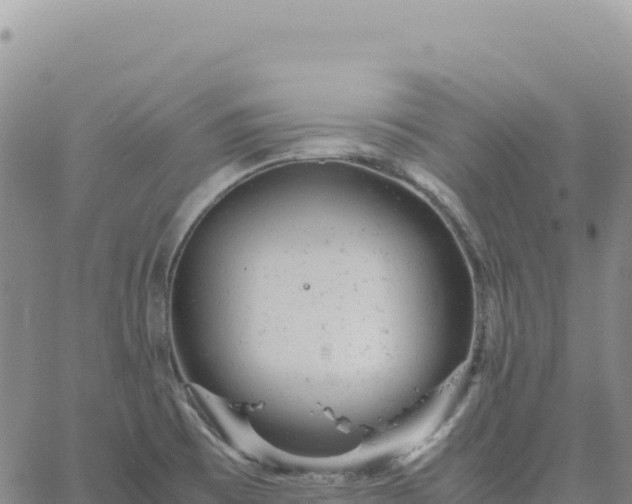 X0000061761473200512091648