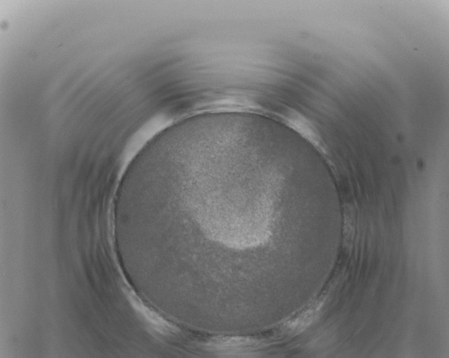 X0000061761474200512091648