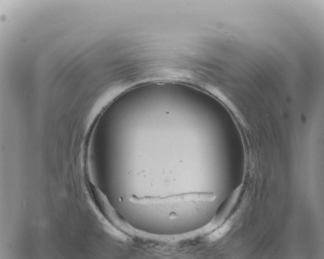 X0000061761477200512091648