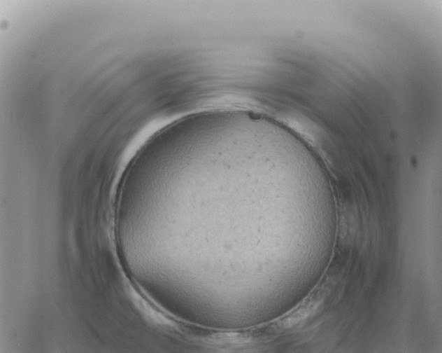 X0000061761478200512091648