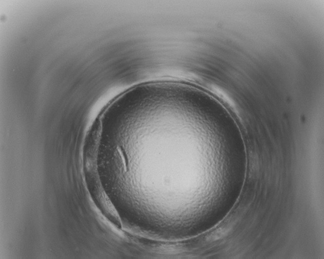 X0000061761480200512091648