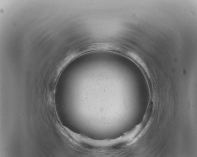 X0000061761481200512091648