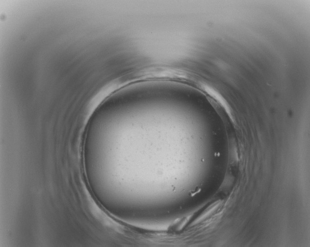 X0000061761483200512091648