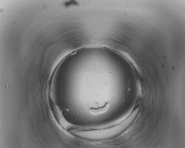 X0000061761484200512091648