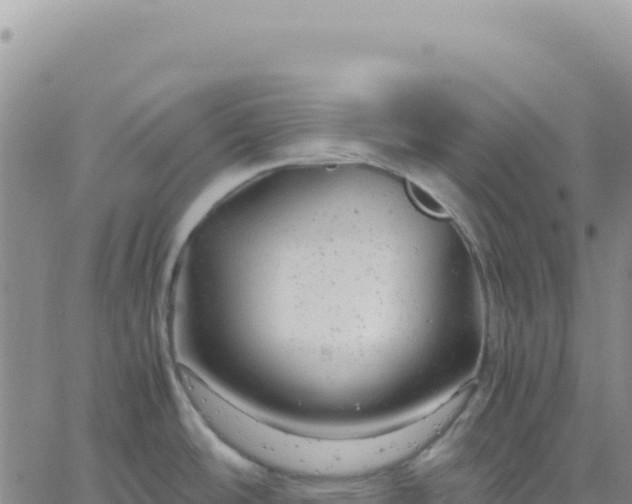 X0000061761486200512091648