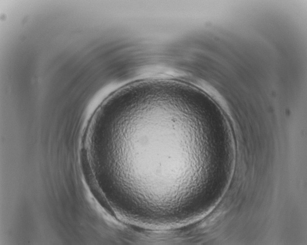 X0000061761488200512091648