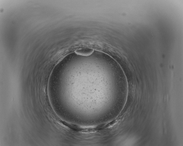 X0000061761489200512091647