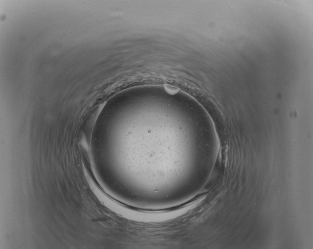 X0000061761490200512091647