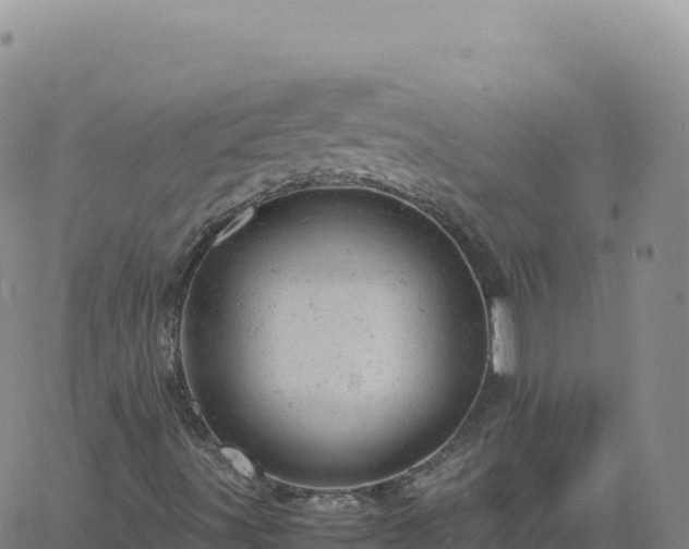 X0000061761491200512091647