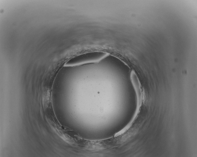 X0000061761492200512091647