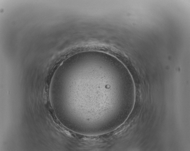 X0000061761493200512091648