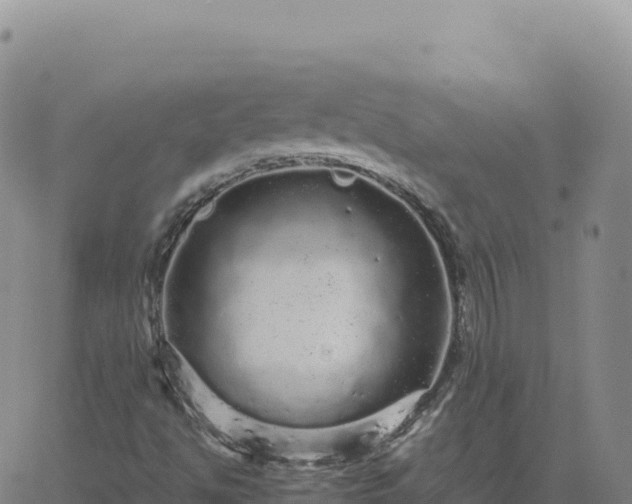 X0000061761494200512091648