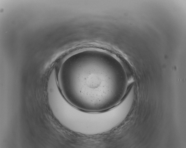 X0000061761496200512091648