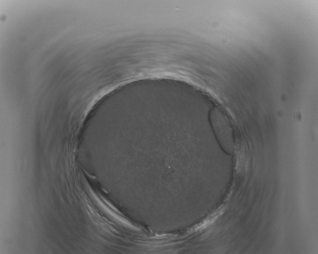 X0000061761497200512091648