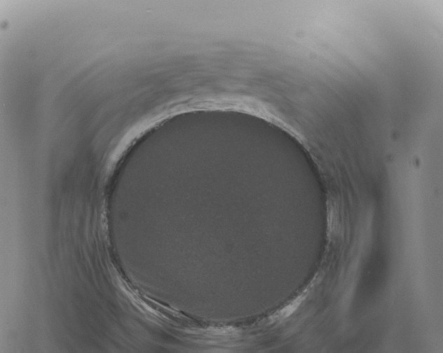 X0000061761498200512091648