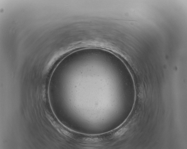 X0000061761499200512091648