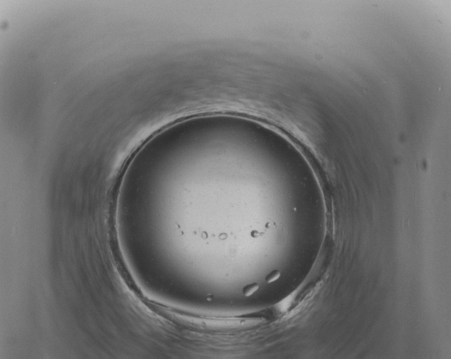 X0000061761500200512091648