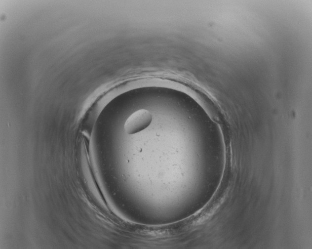 X0000061761501200512091648